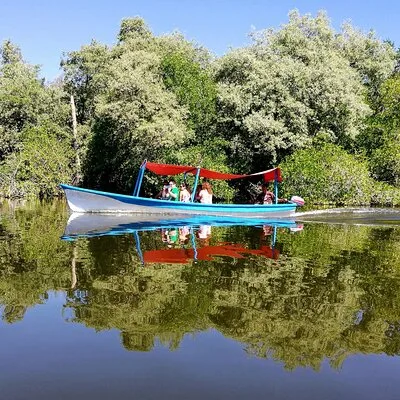 Lagoon Adventure: Jungle, Turtle Release & Cliff Diving Spectacle
